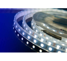 Светодиодная влагозащищенная лента DesignLed 14,4W/m 60LED/m 5050SMD холодный белый 5M 000518