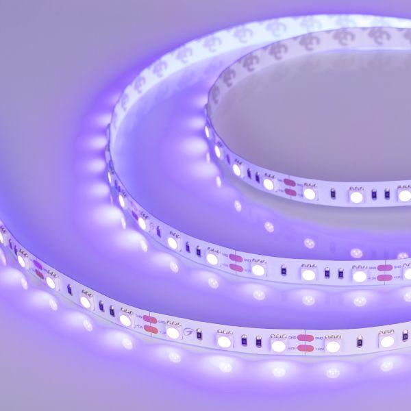 Светодиодная лента Arlight 14,4W/m 60LED/m 5060SMD ультрафиолет 5M 012815(2) Светодиодная лента Arlight 14,4W/m 60LED/m 5060SMD ультрафиолет 5M 012815(2)