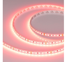 Светодиодная лента Arlight 6W/m 120Led/m 2835SMD алый 5M RT-A120-8mm 24V Scarlet 043383