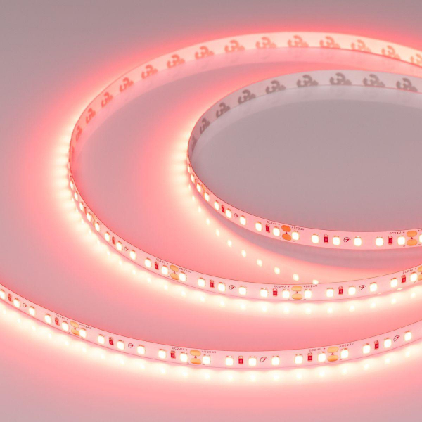 Светодиодная лента Arlight 6W/m 120Led/m 2835SMD алый 5M RT-A120-8mm 24V Scarlet 043383 Светодиодная лента Arlight 6W/m 120Led/m 2835SMD алый 5M RT-A120-8mm 24V Scarlet 043383