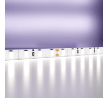 Светодиодная лента Maytoni Technical 9,6W/m холодный белый 5M 20021