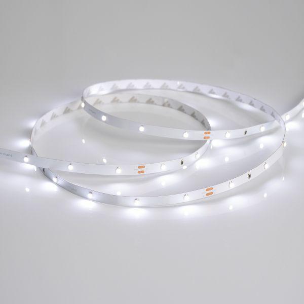 Светодиодная лента Arlight 2,9W/m 30LED/m 2835SMD холодный белый 5M 019917(2) Светодиодная лента Arlight 2,9W/m 30LED/m 2835SMD холодный белый 5M 019917(2)