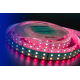 Светодиодная влагозащищенная лента DesignLed 28,8W/m 120LED/m 5050SMD разноцветный/холодный белый 5M 000514