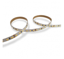 Светодиодная лента WOLTA WLS2835-12W/6500/24H120-01