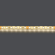 Светодиодная влагозащищенная лента Lightstar 12W/m 120LED/m дневной белый 5M 420554