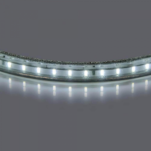 Светодиодная лента 3014/120Р 5мм 10-12Lm/LED White 100m/box 4200-4500K нейтральный белый цвет 402034 Светодиодная лента 3014/120Р 5мм 10-12Lm/LED White 100m/box 4200-4500K нейтральный белый цвет 402034
