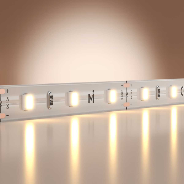 Светодиодная лента Maytoni Led Strip 5м 201162 Светодиодная лента Maytoni Led Strip 5м 201162