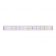 Светодиодная влагозащищенная лента DesignLed 28,8W/m 120LED/m 5050SMD теплый/холодный белый 5M 000515