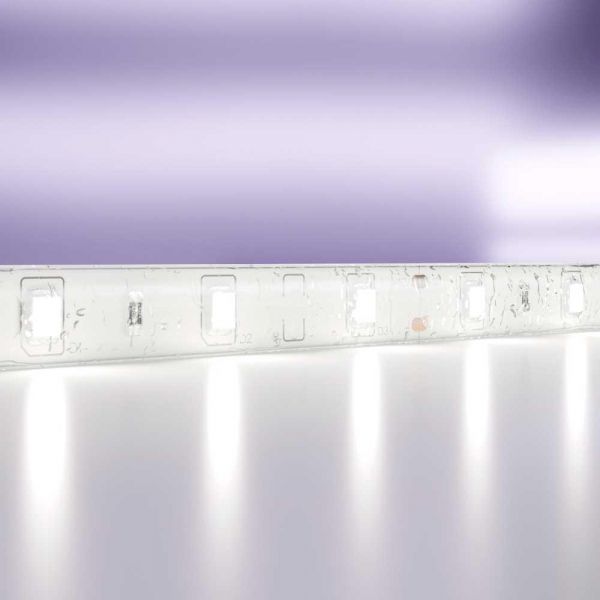 Светодиодная влагозащищенная лента Maytoni Technical 4,8W/m 60LED/m 2835SMD холодный белый 5M 10107 Светодиодная влагозащищенная лента Maytoni Technical 4,8W/m 60LED/m 2835SMD холодный белый 5M 10107