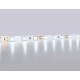 Светодиодная лента Ambrella Light 4,8W/m 60LED/m 2835SMD холодный белый 5M GS1003
