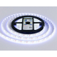 Светодиодная влагозащищенная лента Ambrella Light 9,6W/m 120LED/m 2835SMD холодный белый 5M GS1203