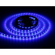 Светодиодная лента Ambrella Light 14,4W/m 60LED/m 5050SMD RGB 5M GS2202