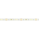 Светодиодная лента Arlight 14W/m 144LED/m 2835SMD дневной белый+красный 5M 038170