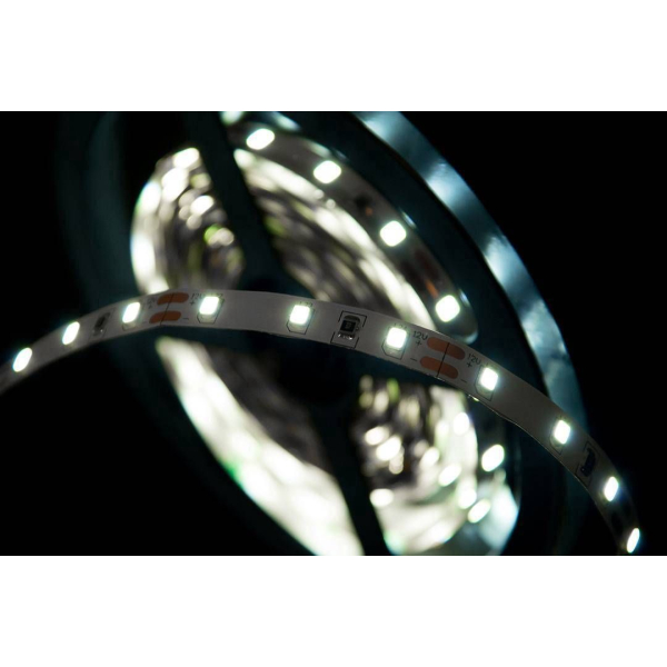 Светодиодная лента SWG 4,8W/m 60LED/m 2835SMD холодный белый 5M 001472