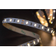 Светодиодная лента SWG 12W/m 60LED/m 5630SMD теплый белый 5M 001690