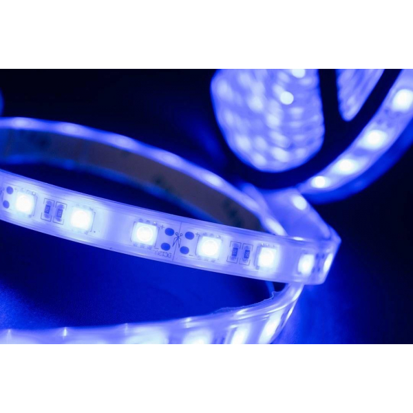 Светодиодная влагозащищенная лента SWG 14,4W/m 60LED/m 5050SMD синий 5M 001848 Светодиодная влагозащищенная лента SWG 14,4W/m 60LED/m 5050SMD синий 5M 001848