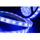 Светодиодная влагозащищенная лента SWG 14,4W/m 60LED/m 5050SMD синий 5M 001848