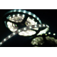 Светодиодная лента SWG 20W/m 60LED/m 5630SMD холодный белый 5M 900534