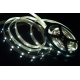 Светодиодная лента SWG 7,2W/m  30Led/m 5050SMD холодный белый 5M SWG530-12-7.2-W-М 009261