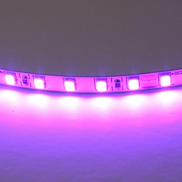 Светодиодная лента Lightstar 12W/m 120LED/m фиолетовый 5M 420518 Светодиодная лента Lightstar 12W/m 120LED/m фиолетовый 5M 420518
