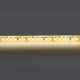 Светодиодная влагозащищенная лента Lightstar 14W/m 180LED/m дневной белый 5M 421054