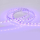 Светодиодная лента Arlight 14,4W/m 60LED/m 5060SMD синий 5M 012336