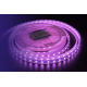 Светодиодная влагозащищенная лента DesignLed 14,4W/m 60LED/m 5050SMD разноцветный 5M 001489