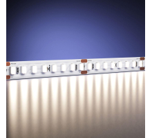 Светодиодная лента Maytoni 12W/m 160LED/m 2835SMD дневной белый 5M 201101