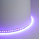 Светодиодная лента Feron LS501 11W/m 120LED/m 3535SMD RGB 5M 51823