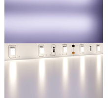 Светодиодная лента Maytoni Technical 4,8W/m 60LED/m 2835SMD дневной белый 5M 10137