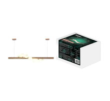 Подвесная люстра Ritter RACEMO 52615 5