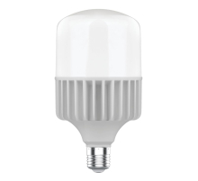 Лампа светодиодная Gauss E40 100W 6500K матовая 63430