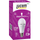 Лампа светодиодная Lucem E27 15W 6500K матовая FLEBL152765L