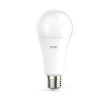 Лампа светодиодная Gauss E27 25W 4100K матовая 73225