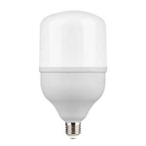 Лампа светодиодная Gauss E27 50W 6500K матовая 63235