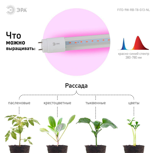 Лампа светодиодная для растений ЭРА G13 9W 1200K прозрачная Fito-9W-RB-Т8-G13-NL Б0042986 Лампа светодиодная для растений ЭРА G13 9W 1200K прозрачная Fito-9W-RB-Т8-G13-NL Б0042986