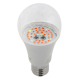 Лампа светодиодная для растений ЭРА E27 12W 1310K прозрачная Fito-12W-RB-E27 Б0050601