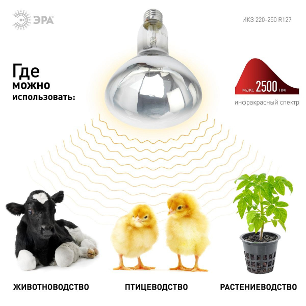 Лампа инфракрасная ЭРА E27 250 Вт для обогрева животных и освещения ИКЗ 220-250 R127 E27 Б0055440 Лампа инфракрасная ЭРА E27 250 Вт для обогрева животных и освещения ИКЗ 220-250 R127 E27 Б0055440