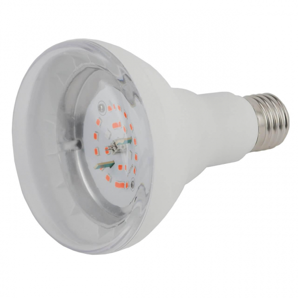 Лампа светодиодная ЭРА E27 16W 1310K прозрачная FITO-16W-RB-E27-K Б0039072 Лампа светодиодная ЭРА E27 16W 1310K прозрачная FITO-16W-RB-E27-K Б0039072