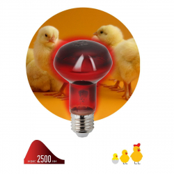Лампа инфракрасная ЭРА E27 60 Вт для обогрева животных и освещения ИКЗК 230-60 Вт R63 Е27 Б0057281