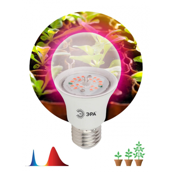 Лампа светодиодная для растений ЭРА E27 10W 1310K прозрачная FITO-10W-RB-E27-K Б0039069 Лампа светодиодная для растений ЭРА E27 10W 1310K прозрачная FITO-10W-RB-E27-K Б0039069