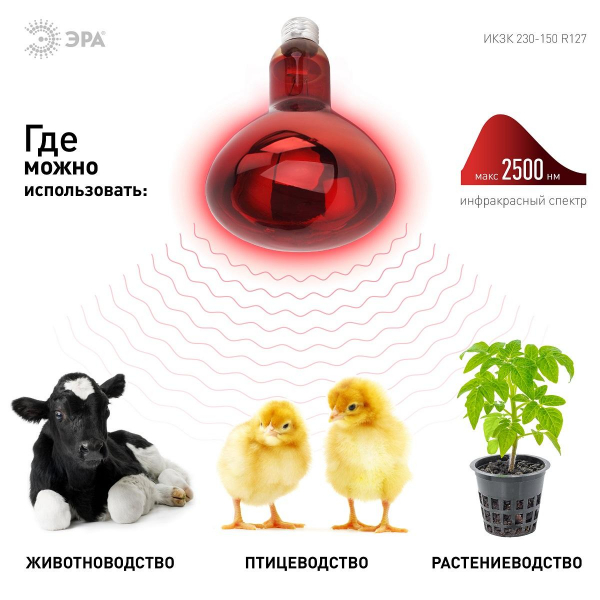 Лампа инфракрасная ЭРА E27 150 Вт для обогрева животных и освещения ИКЗК 230-150 R127 Б0055441 Лампа инфракрасная ЭРА E27 150 Вт для обогрева животных и освещения ИКЗК 230-150 R127 Б0055441