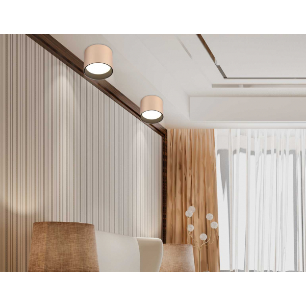 Светильник накладной Ambrella Light TN5305 Светильник накладной Ambrella Light TN5305