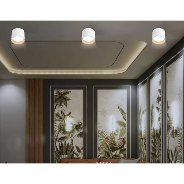 Светильник накладной Ambrella Light TN5304 Светильник накладной Ambrella Light TN5304