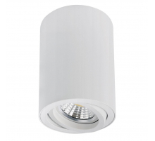 Точечный накладной светильник Arte Lamp SENTRY A1566PL-1WH
