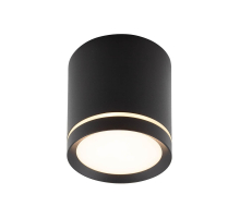 Точечный светодиодный светильник Denkirs DK4016-BK