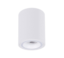 Точечный накладной светильник Arte Lamp IMAI A2267PL-1WH