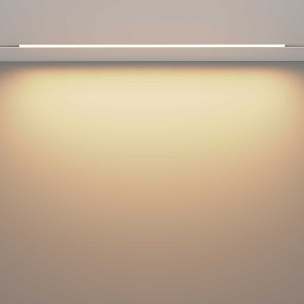 Трековый светильник Voltega Эксилайт / Exilight VGL030-2-30W3K-W