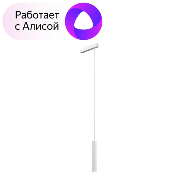 Трековый светодиодный светильник Denkirs DK8008-WH Трековый светодиодный светильник Denkirs DK8008-WH