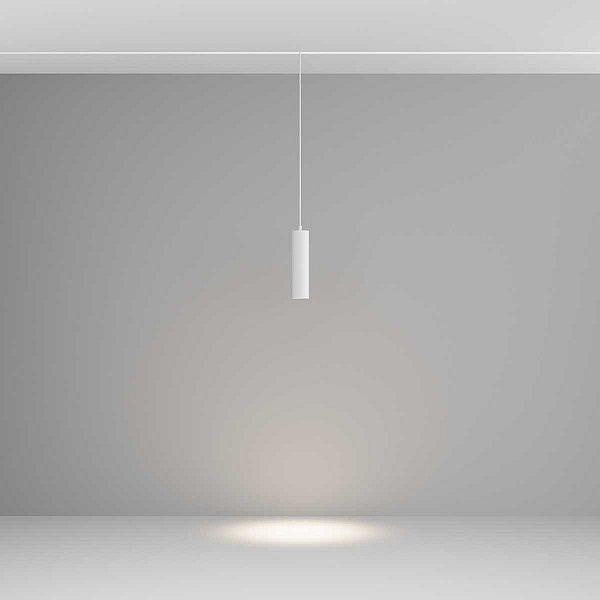 Трековый подвесной светильник Voltega Эксилайт / Exilight VGL041-2-12W4K-W